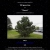 100 gecs Tree avatar