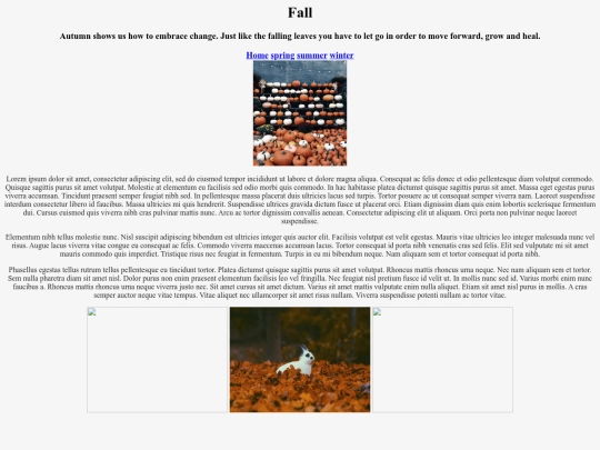 page5 screenshot