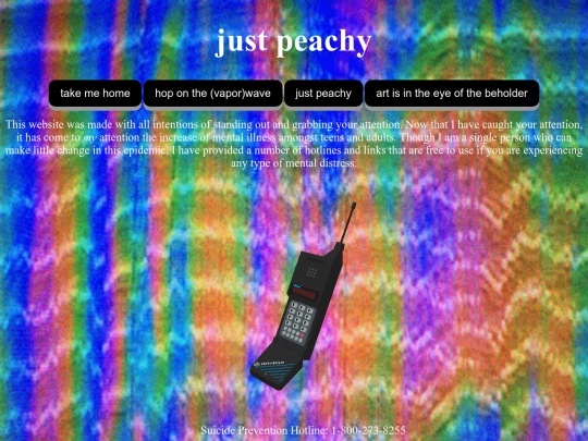 do-it-for-the-aesthetic screenshot