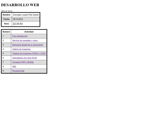 Desarrollo web felix screenshot
