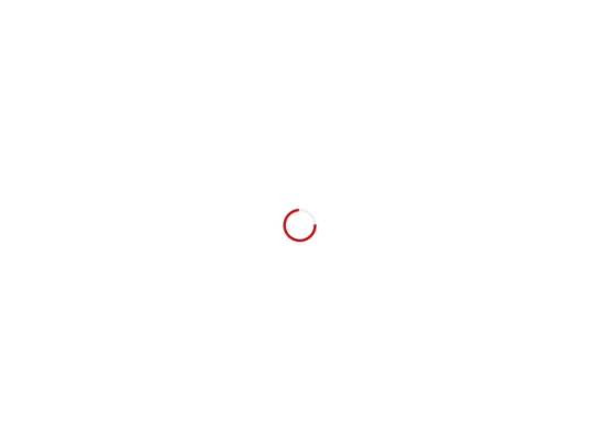 portfolio-details screenshot
