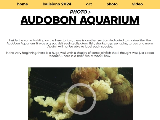 photo/louisiana-2024/aquarium screenshot