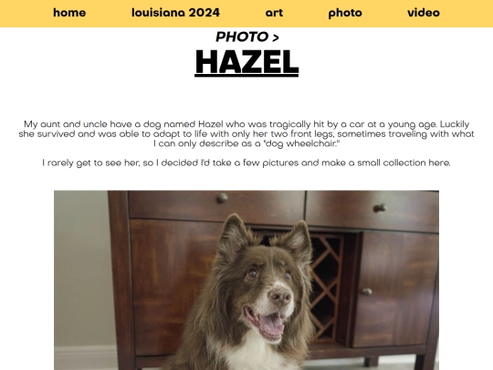 photo/louisiana-2024/hazel screenshot