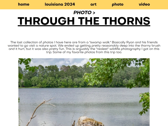 photo/louisiana-2024/through-the-thorns screenshot