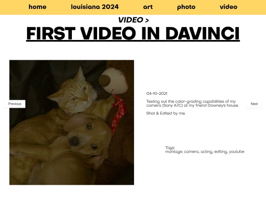 video/91 screenshot