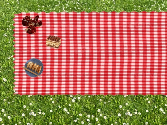 Realsite screenshot