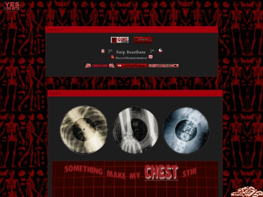 secret/snip screenshot