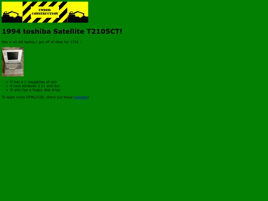 1994toshibalaptop screenshot
