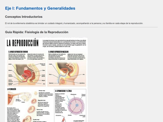 eje1 screenshot