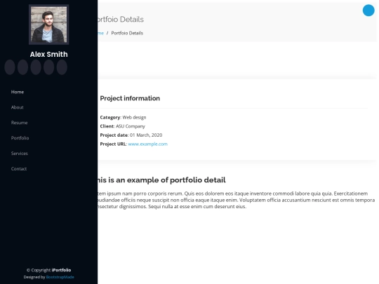 portfolio-details screenshot