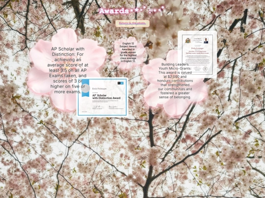 awards screenshot