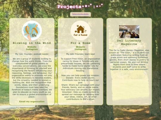 projects screenshot