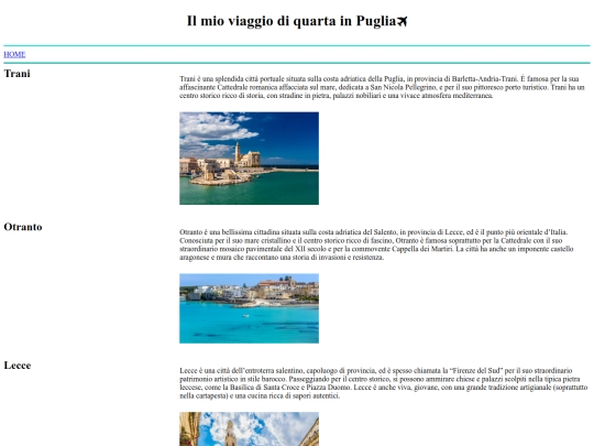 pages/viaggio4 screenshot