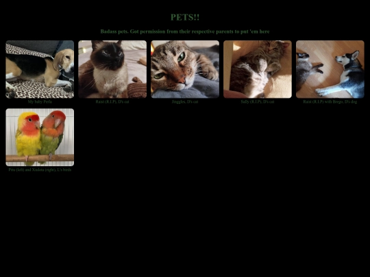pets screenshot