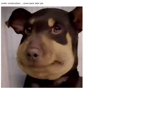 reads screenshot