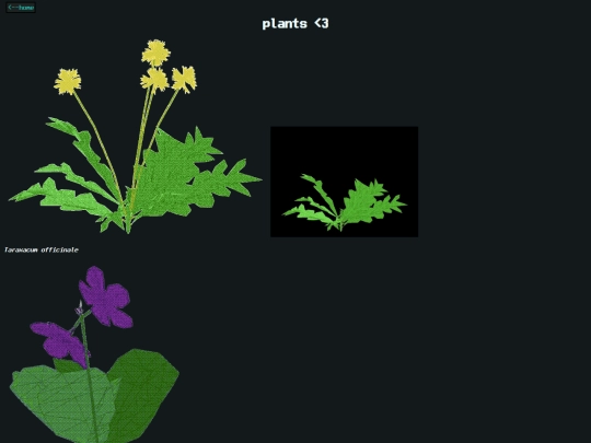 garden screenshot