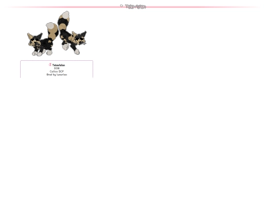 pages_crew/mainecoons/television screenshot