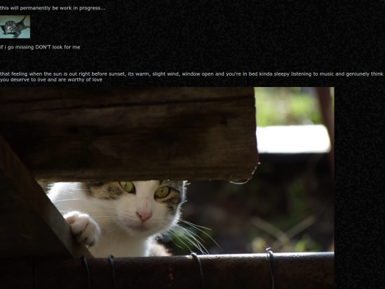 other screenshot