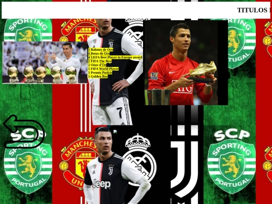 trabajofinal/titulosindividuales screenshot