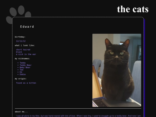 cats screenshot
