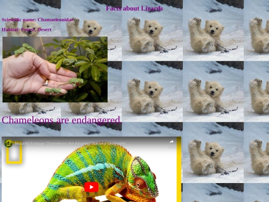 lizards screenshot