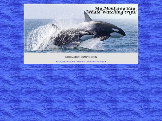 whalewatching screenshot