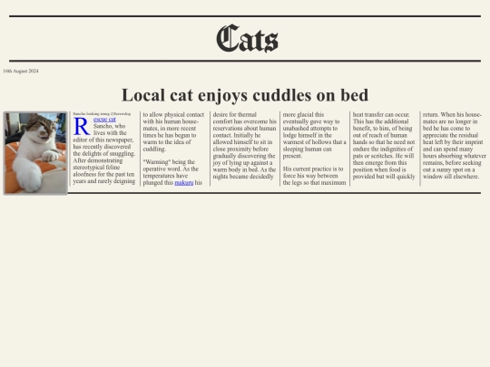 cats screenshot
