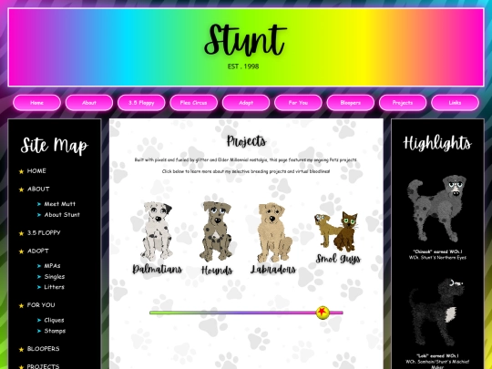 projects screenshot