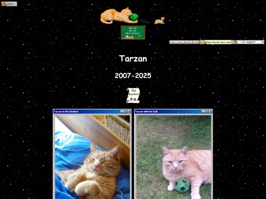 mycat screenshot
