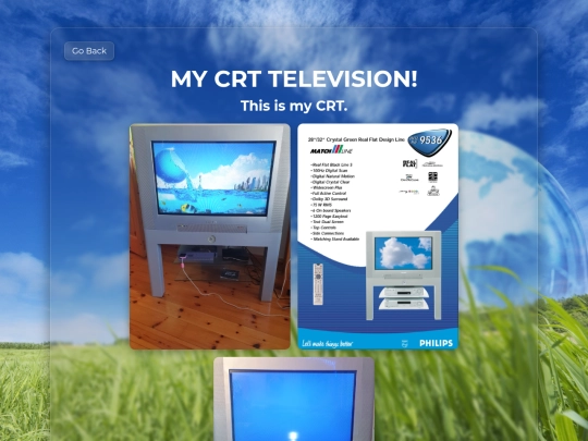 mycrt screenshot