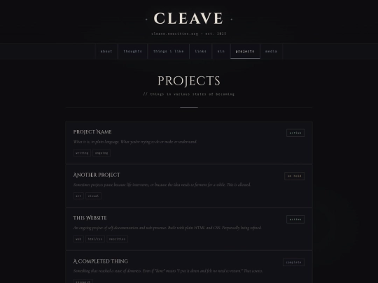 projects screenshot