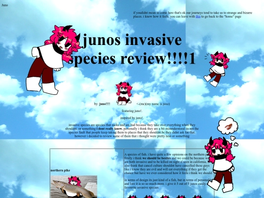 junoreview screenshot