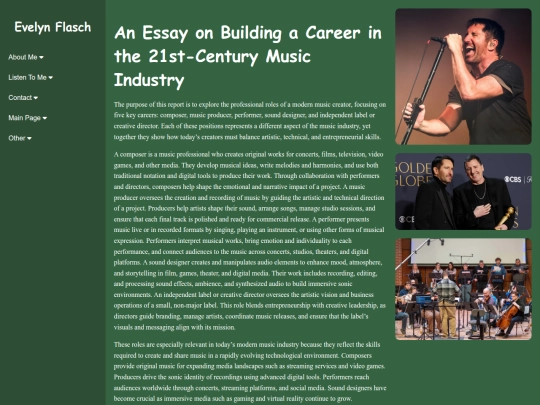 essay screenshot