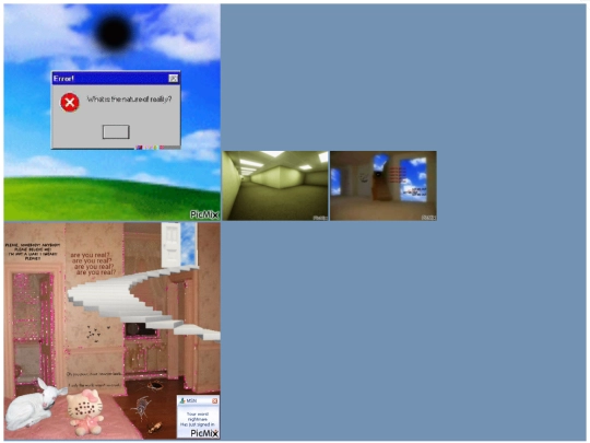 pictures screenshot