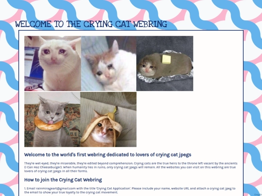 webring/webring screenshot