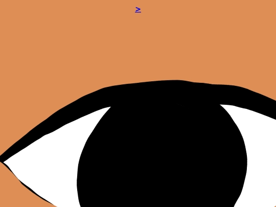 p screenshot