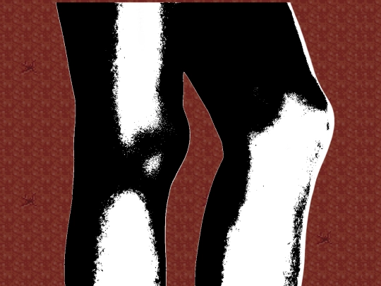 legs screenshot