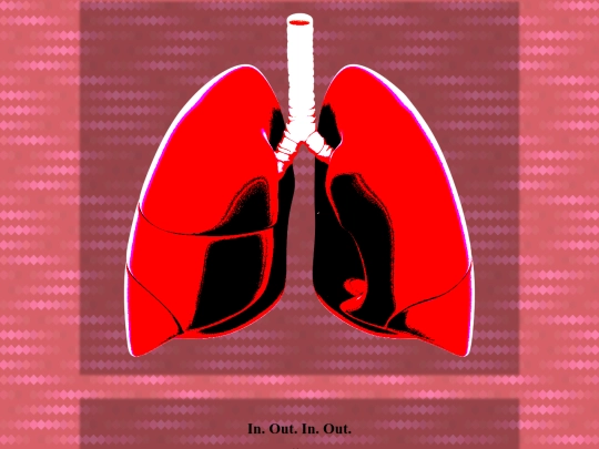 pulmonis screenshot
