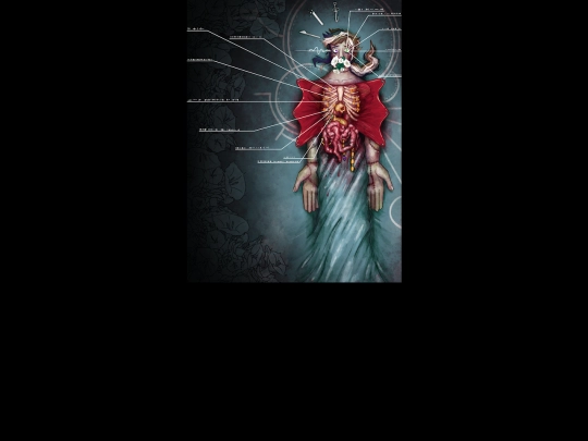 0/anatomy-notes screenshot