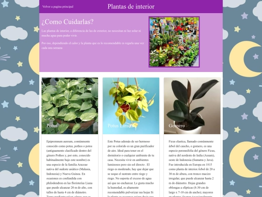 Vivero/pi screenshot