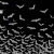 The web site of megachiropteralem avatar
