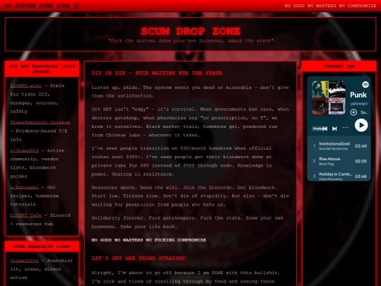 punk screenshot
