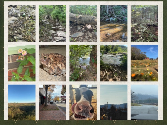 photos screenshot