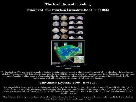 evolutionOfFloods screenshot
