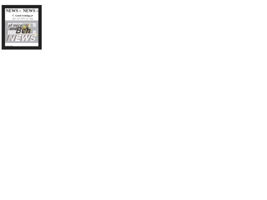 newsblog screenshot