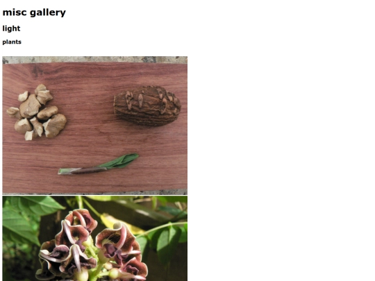 gallery screenshot