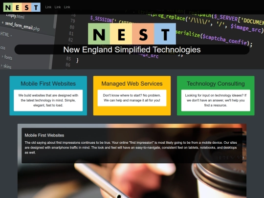 NEST screenshot