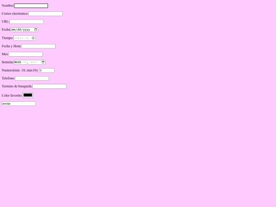 formulario screenshot