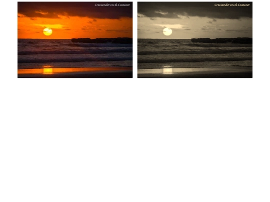 plantillasepia screenshot