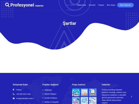 sartlar screenshot